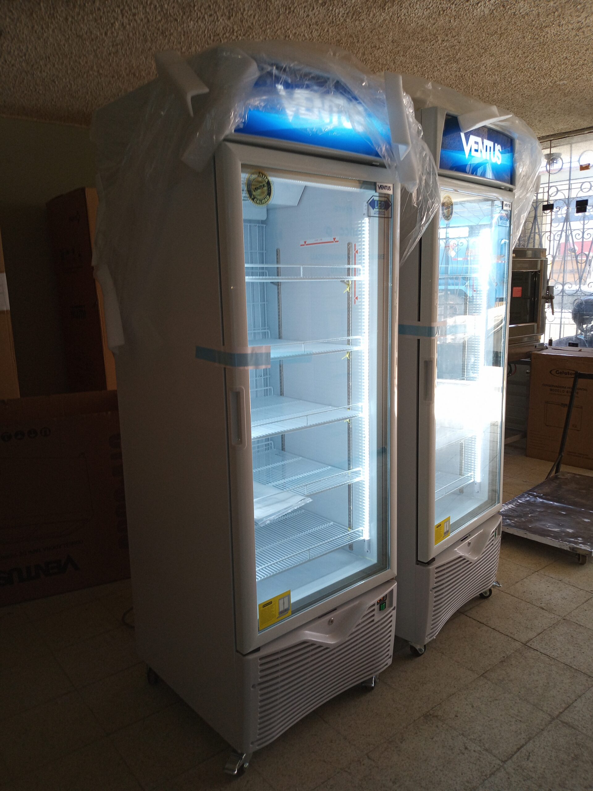 Interior con 5 repisas regulables para helados y carnes
