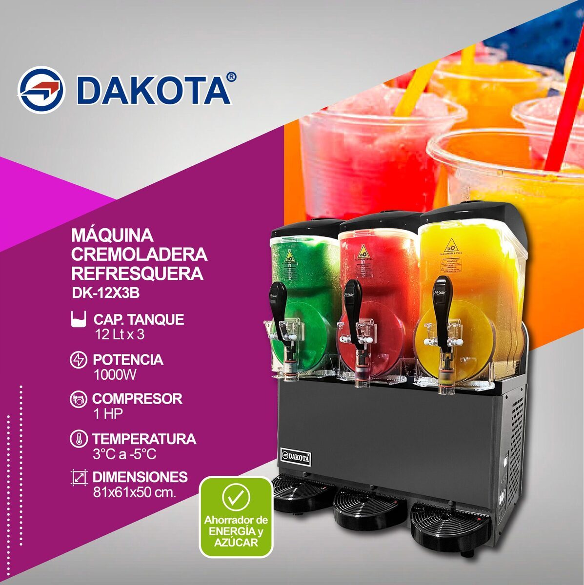 Ficha informativa Dakota DK-12X3B