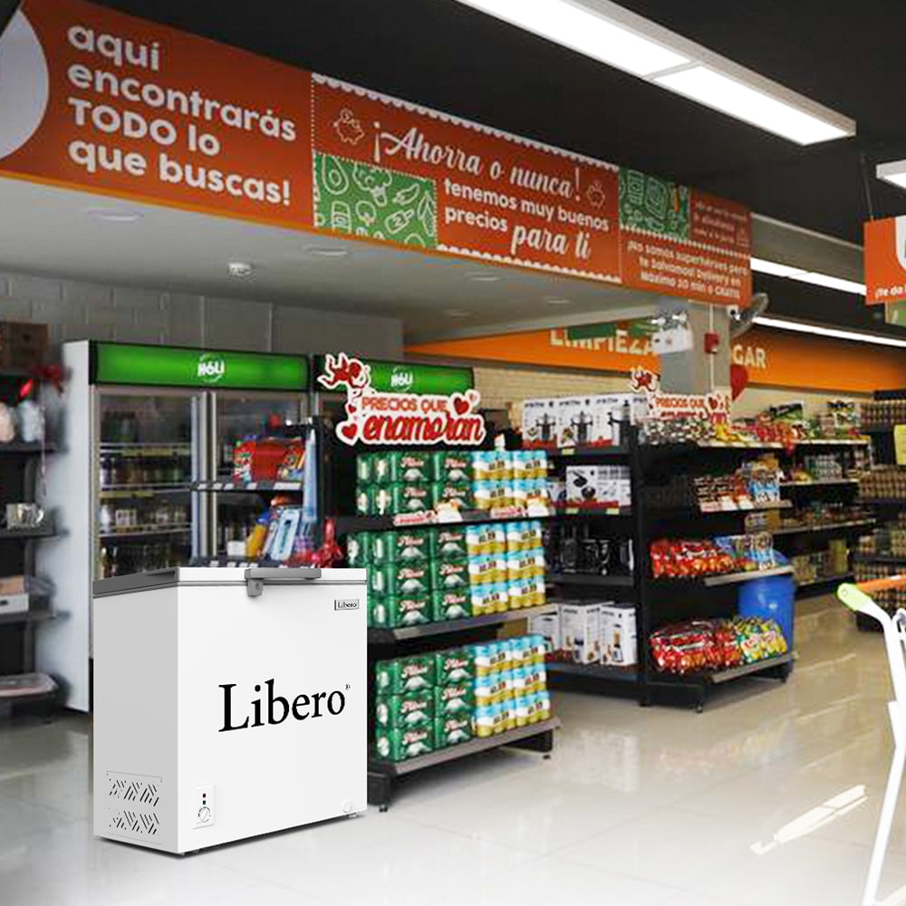 Vista interior del modelo Libero LFH-201V